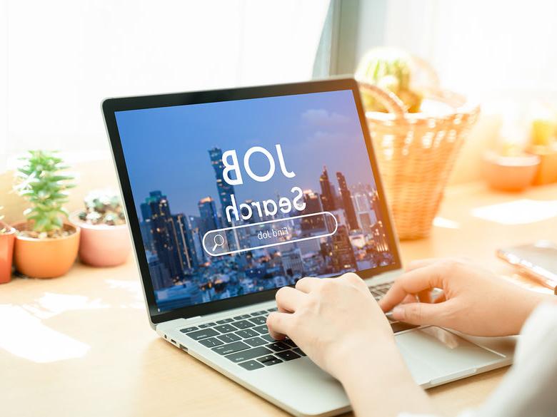 A person types on a laptop showing a JOB Search screen with a cityscape background. The scene includes plants and a basket on a sunlit desk.